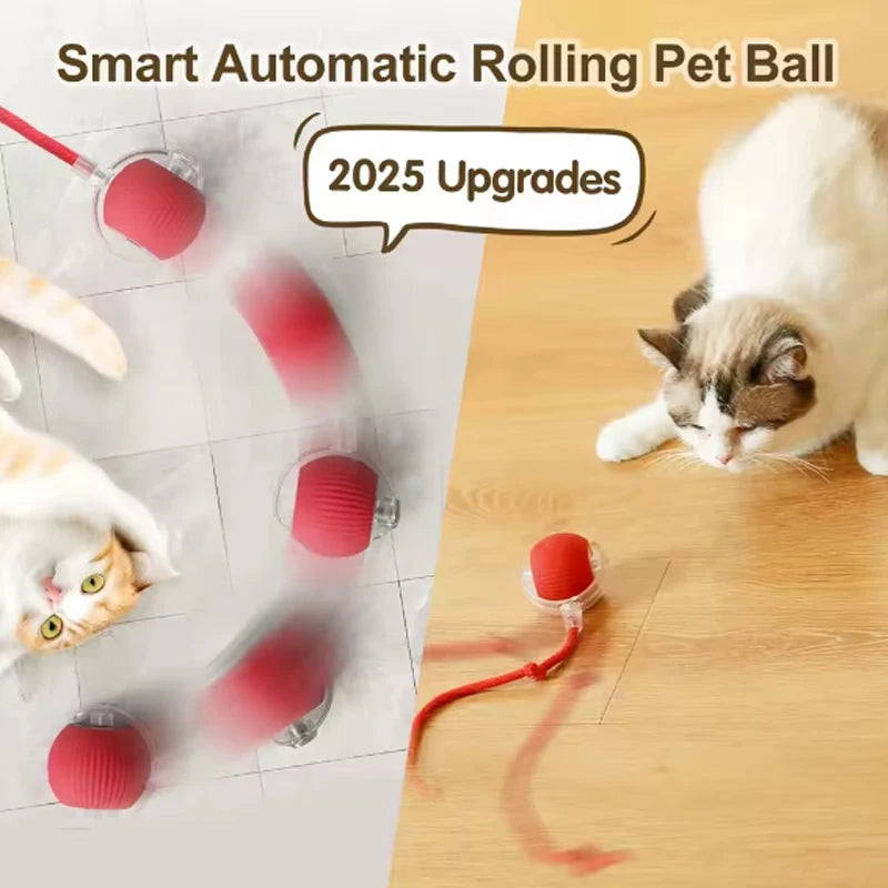 Cat toys cat smart cat balls to help relieve boredom kitten avoid toys