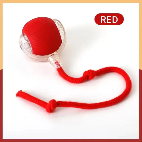 Cat toys cat smart cat balls to help relieve boredom kitten avoid toys