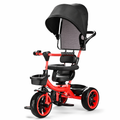 Trike for Growing Kids